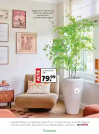 Intratuin folder week 8 Pagina 5