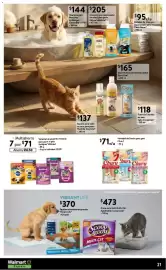 Catálogo Walmart Express Página 21
