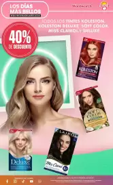 Catálogo Woolworth Página 8