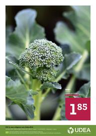 Ekoplaza folder week 8 Pagina 4