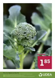 Ekoplaza folder week 8 Pagina 4