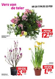 Dekamarkt folder | weekendaanbiedingen Pagina 6