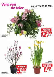 Dekamarkt folder | weekendaanbiedingen Pagina 6