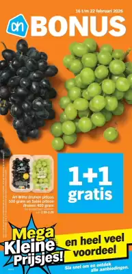 Albert Heijn folder (geldig t/m 22-02)