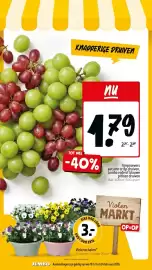 Jumbo folder week 8 Pagina 8