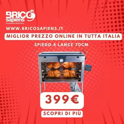 Volantino Brico Sapiens (valido fino al 28-02)