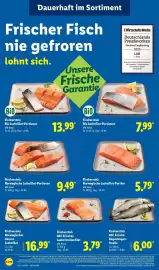 Lidl Prospekt woche 8 Seite 24