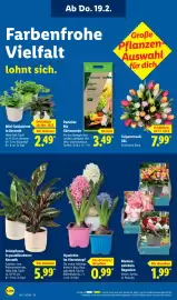 Lidl Prospekt woche 8 Seite 26