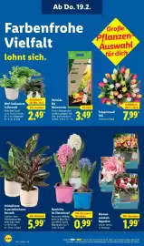 Lidl Prospekt woche 8 Seite 26