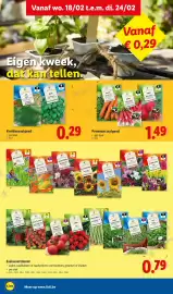 Lidl folder week 8 Pagina 18