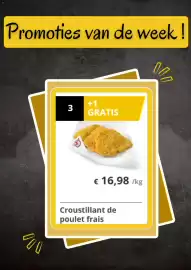 Renmans folder week 8 Pagina 3