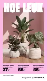 Kwantum folder Pagina 8