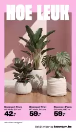 Kwantum folder Pagina 8