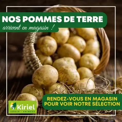 Catalogue Kiriel (valable jusqu'au 19-02)