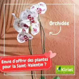 Catalogue Kiriel semaine 7 page 1