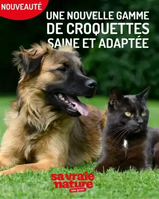 Catalogue Médor et Compagnie (valable jusqu'au 19-02)