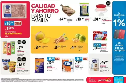 Catálogo Plaza Vea Página 2