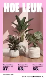 Kwantum folder Pagina 8