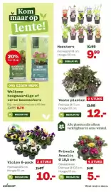 Welkoop folder Pagina 12