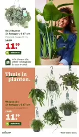 Welkoop folder Pagina 27