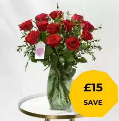 Flying Flowers leaflet (valid until 21-02)