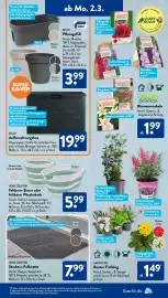 Aldi Süd Prospekt woche 10 Seite 13