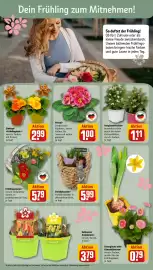REWE Prospekt woche 8 Seite 6