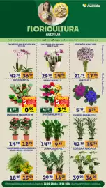 Catálogo Supermercados Avenida Página 8