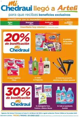 Folleto Arteli (válido hasta 17-02)