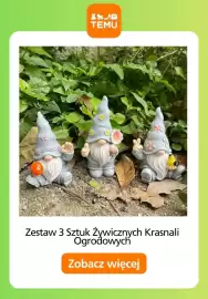 Temu gazetka Strona 9