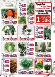 E.Leclerc gazetka Strona 3