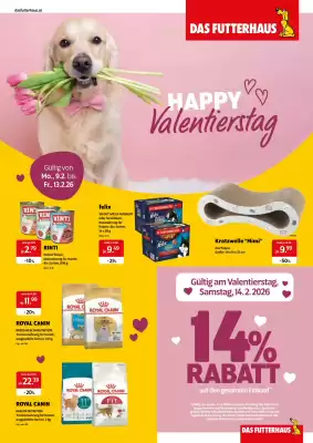 Eurogast Grissemann Flugblatt (gültig bis 19-02)