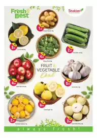 Shaklan leaflet Page 10