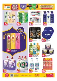 Shaklan leaflet Page 5