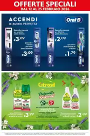Volantino Maxi Supermercati Pagina 13