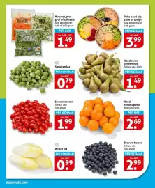 Hoogvliet folder week 8 Pagina 10