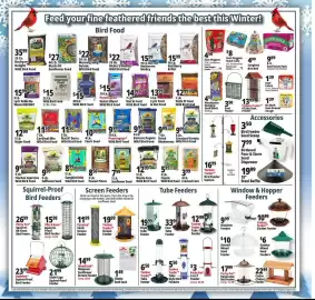 Ocean State Job Lot flyer week 7 Page 10