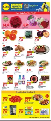 Lidl weekly ad (valid until 17-02)