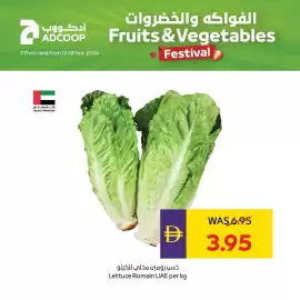 Abu Dhabi Coop leaflet week 7 Page 10