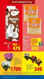 Lidl akciós újság hét 8 Oldal 51