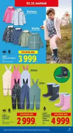 Lidl akciós újság hét 8 Oldal 21
