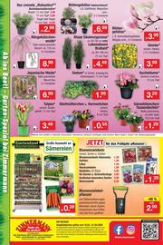 Zimmermann Prospekt woche 8 Seite 14