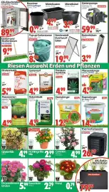 Wreesmann Prospekt woche 8 Seite 3