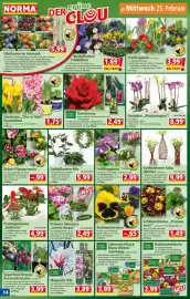 Norma Prospekt woche 9 Seite 14