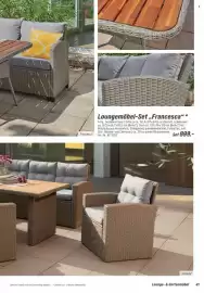 Toom Baumarkt Prospekt Seite 41