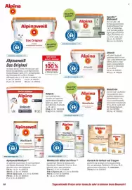 Toom Baumarkt Prospekt Seite 38