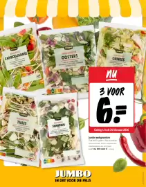 Jumbo folder week 8 Pagina 9