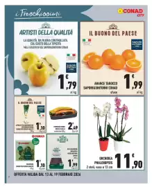 Volantino Conad City settimana 7 Pagina 8