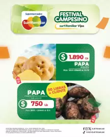 Catálogo Surtifamiliar Página 2