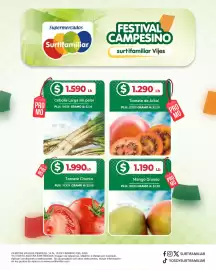 Catálogo Surtifamiliar Página 4